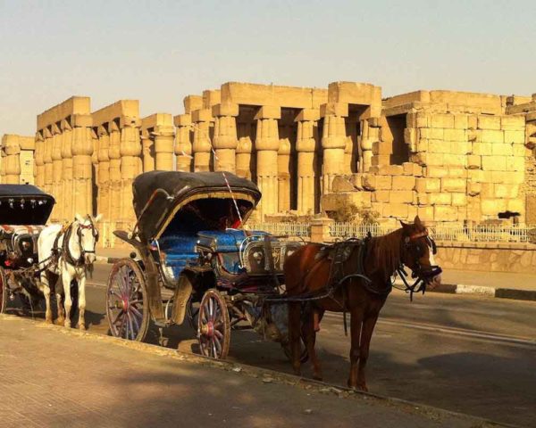 carriage luxor
