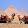 giza 14 (2)