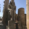 luxor 26