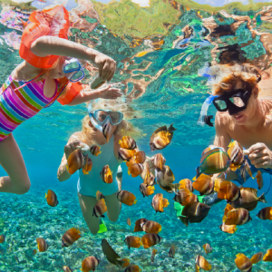 Ras Mohammed National Park: Snorkeling Trip from Sharm El Sheikh Hotel
